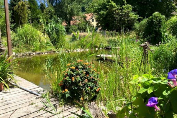Maison Villageoise contiguë au centre de Cheyres