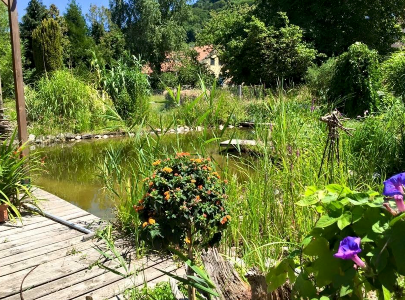 Maison Villageoise contiguë au centre de Cheyres