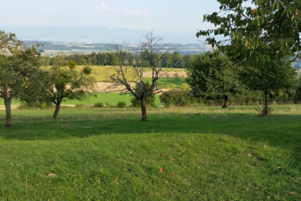 Terrain avec vue dégagée à Torny-le-Petit